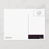 Carte Postale M. & Mme Lemur (Dos)