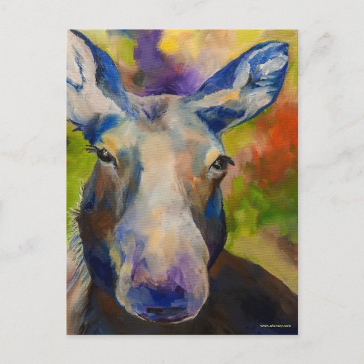 Carte postale M. Moosey Moose (Devant)
