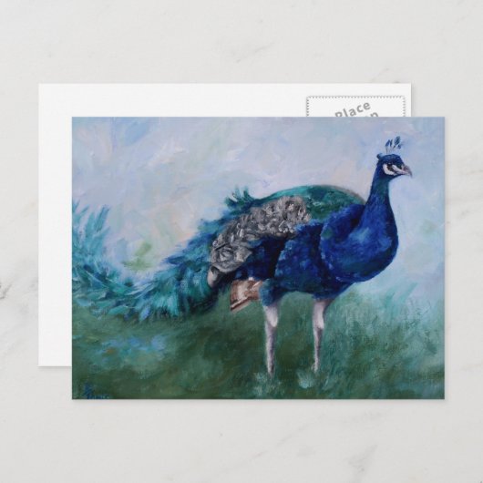 Carte postale M. Peacock (Devant / Derrière)