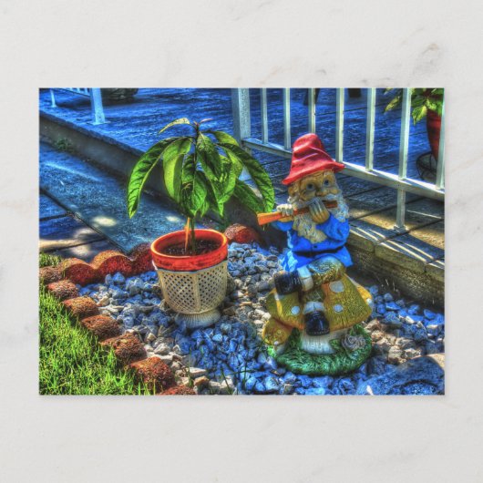 Carte Postale M. Piper Gnome - (Devant)