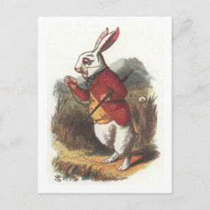 Carte Postale M. Rabbit !
