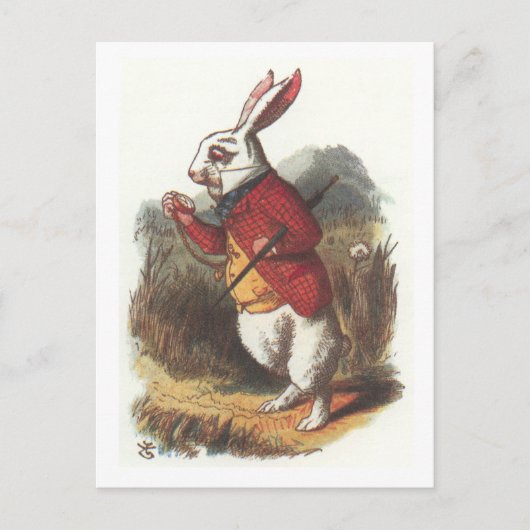 Carte Postale M. Rabbit ! (Devant)