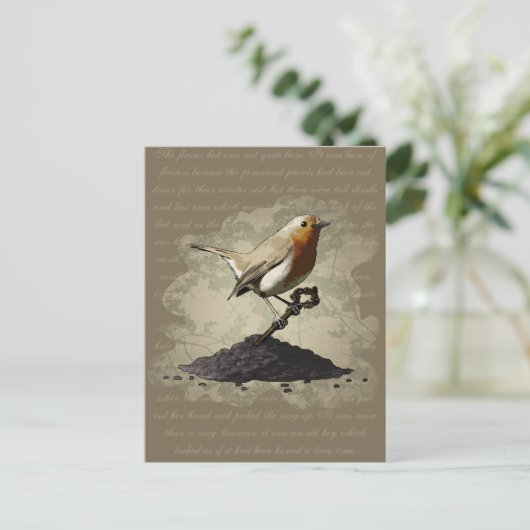 Carte Postale M. Robin Finds the Key (Debout devant)