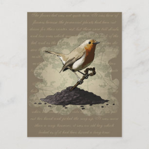Carte Postale M. Robin Finds the Key