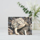 Carte Postale M. Toad (Debout devant)