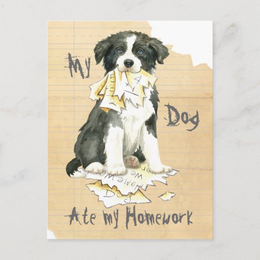 Carte Postale Ma frontière Collie Ate mes devoirs (Devant)
