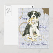 Carte Postale Ma frontière Collie Ate mon plan de leçon (Devant / Derrière)