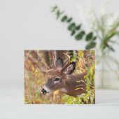 Carte Postale Ma petite langue, Pris ! (Debout devant)