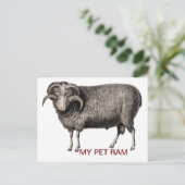 CARTE POSTALE MA RAM PET (Debout devant)