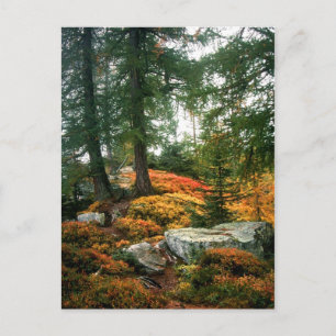 CARTE POSTALE MA VIE N'EST PAS CETTE HEURE VERTIQUE