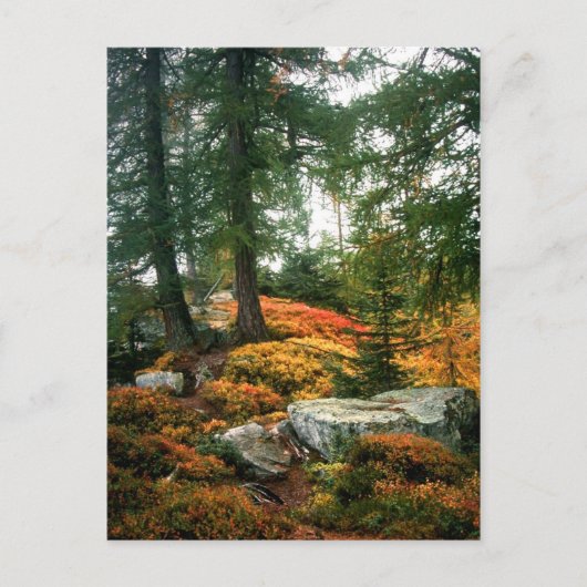 CARTE POSTALE MA VIE N'EST PAS CETTE HEURE VERTIQUE (Devant)