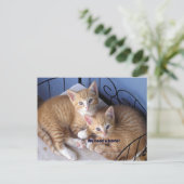 Carte Postale mac-n-chesse (Debout devant)