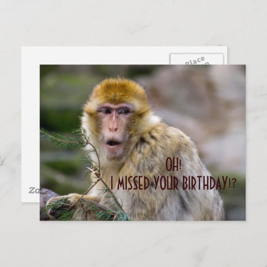 Carte Postale Macaca sylvanus (Devant / Derrière)