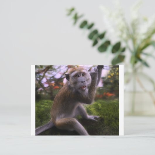 Carte Postale Macaque (Debout devant)