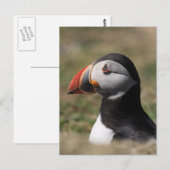 Carte Postale Macareux de l'île de Skomer (Devant / Derrière)