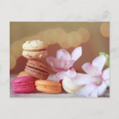 Carte postale Macarons (Devant)