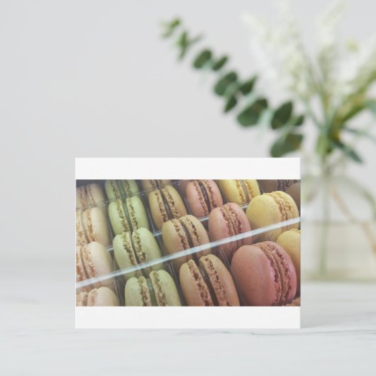 Carte Postale Macarons à profusion (Debout devant)