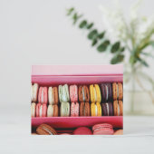 Carte Postale Macarons de différentes couleurs (Debout devant)