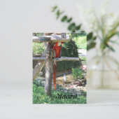 Carte Postale Macaw (Debout devant)