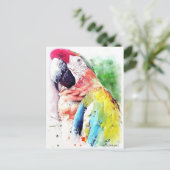 Carte Postale Macaw (Debout devant)