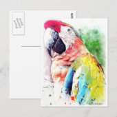 Carte Postale Macaw (Devant / Derrière)