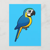 Carte Postale Macaw bleu et jaune (Devant)