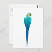 Carte Postale Macaw bleu et jaune de Junglewalk.com (Devant / Derrière)