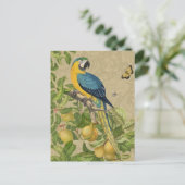 Carte Postale Macaw Blue Jaune Tropical Jungle Antique (Debout devant)