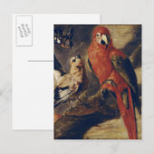 Carte Postale Macaw et Bullfinch (Devant / Derrière)