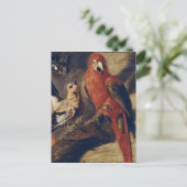 Carte Postale Macaw et Bullfinch (Debout devant)