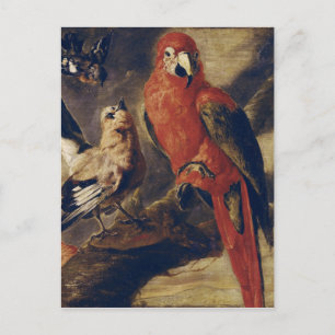 Carte Postale Macaw et Bullfinch