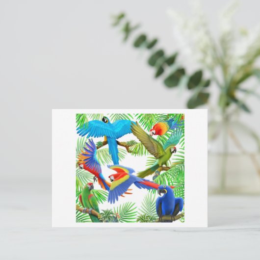 Carte postale Macaw Jungle (Debout devant)