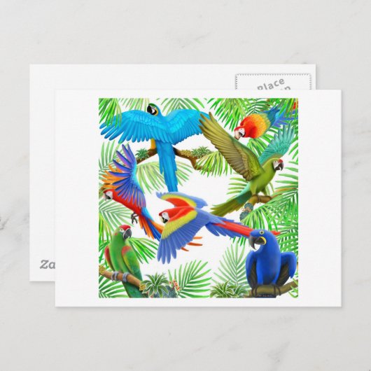 Carte postale Macaw Jungle (Devant / Derrière)