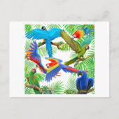 Carte postale Macaw Jungle (Devant)