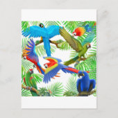 Carte postale Macaw Jungle (Devant)
