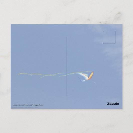 Carte Postale Macaw Kite (Dos)