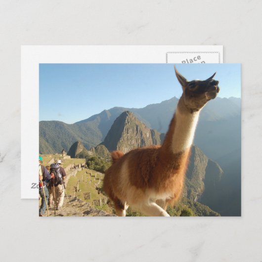 Carte Postale Macchu Picchu (Devant / Derrière)