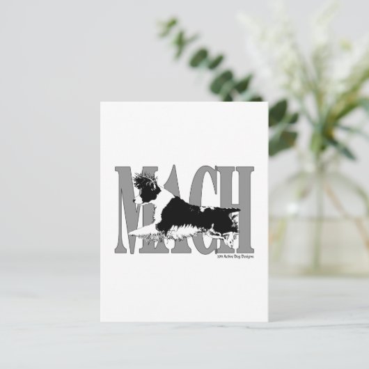 Carte Postale MACH Springer (Debout devant)