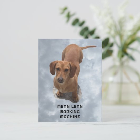 Carte Postale Machine à aboyer teckel marron mignon (Debout devant)