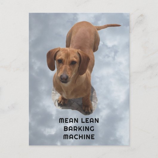 Carte Postale Machine à aboyer teckel marron mignon (Devant)