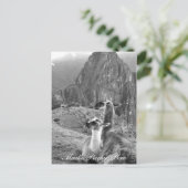 Carte Postale Machu Picchu Pérou (Debout devant)