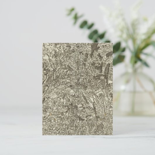 Carte Postale Macon (Debout devant)