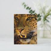 Carte Postale Macro Big Cat (Debout devant)