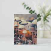 Carte Postale Macro Champignons (Debout devant)