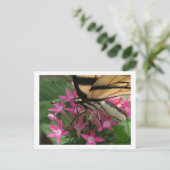 Carte postale Macro d'alimentation papillon (Debout devant)