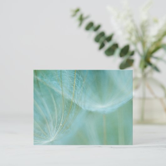 Carte Postale macro Dandelion (Debout devant)