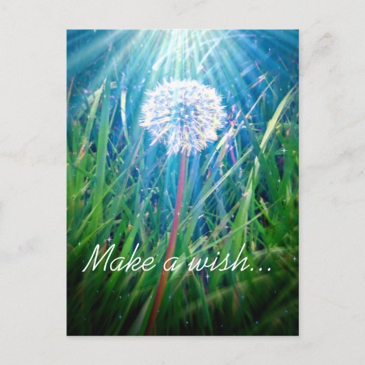 Carte Postale Macro Dandelion (Devant)