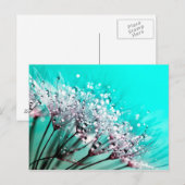 Carte Postale Macro Dandelion Semences d'eau gouttes photo (Devant / Derrière)