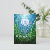 Carte Postale Macro de pissenlit (Debout devant)