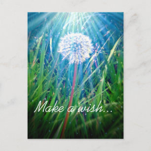 Carte Postale Macro de pissenlit